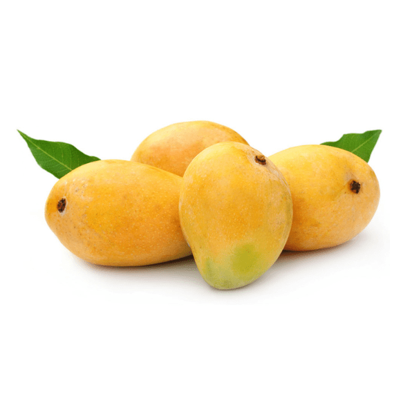 গৌড়মতি