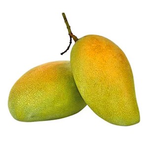 ফজলি